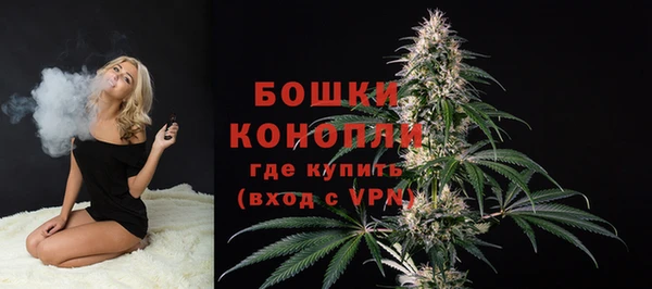 индика Заволжье