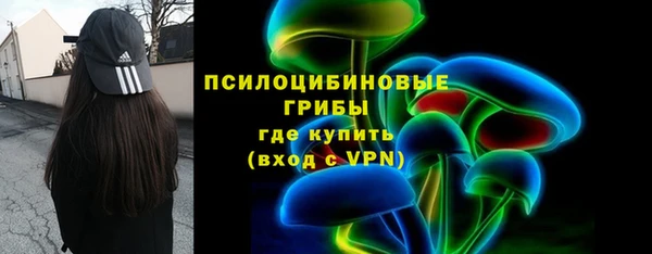 индика Заволжье
