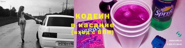 индика Заволжье