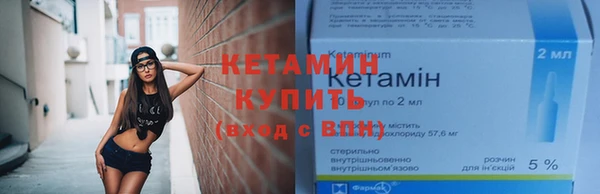 индика Заволжье