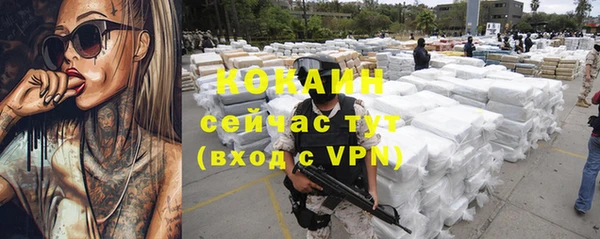 индика Заволжье
