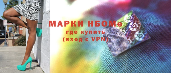 индика Заволжье
