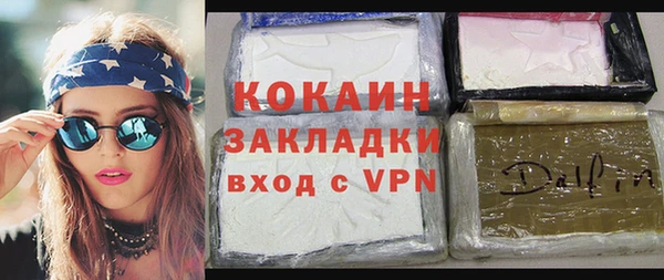 индика Заволжье
