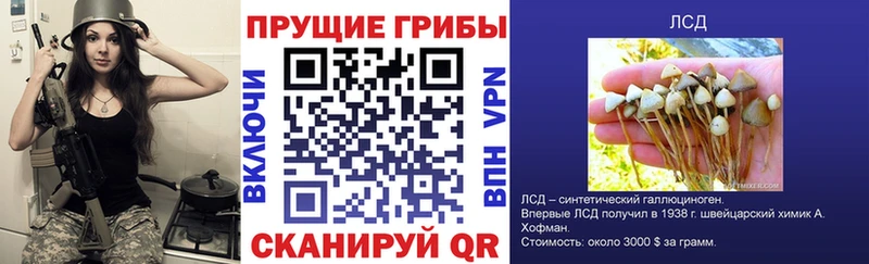 Галлюциногенные грибы Psilocybe  Приморск 